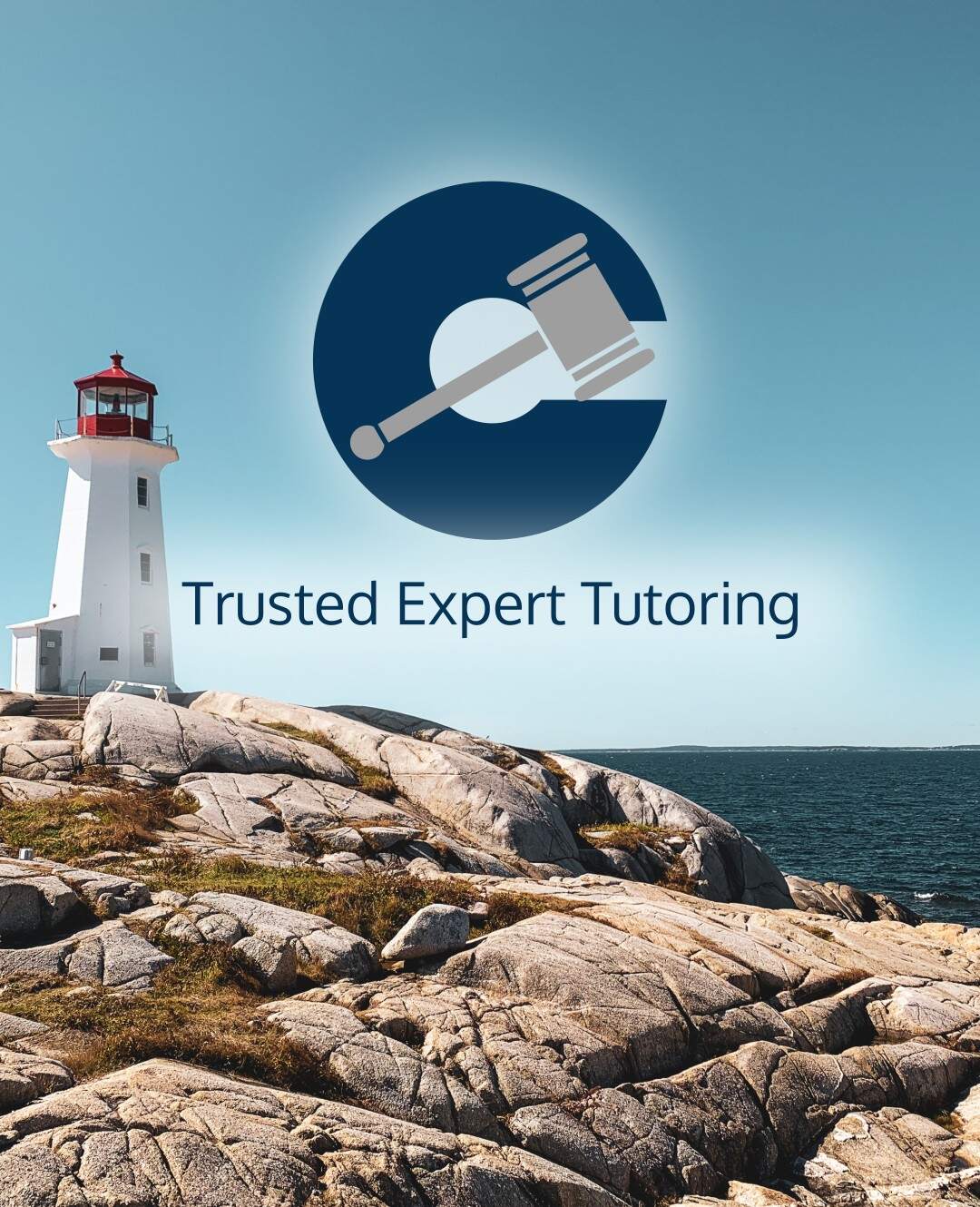 Trusted Expert Tutoring
